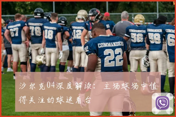 沙尔克04深度解读：主场球场中值得关注的球迷看台